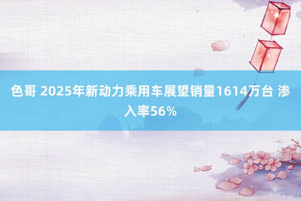 色哥 2025年新动力乘用车展望销量1614万台 渗入率56%
