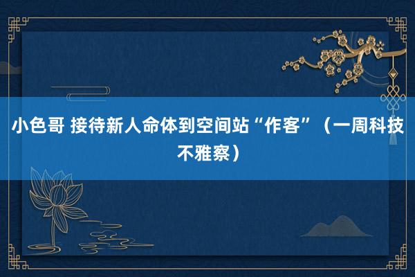 小色哥 接待新人命体到空间站“作客”（一周科技不雅察）