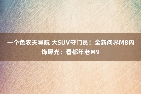 一个色农夫导航 大SUV守门员！全新问界M8内饰曝光：看都年老M9