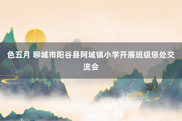 色五月 聊城市阳谷县阿城镇小学开展班级惩处交流会