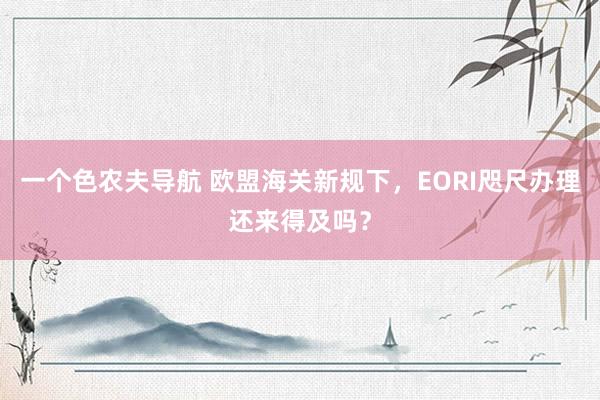 一个色农夫导航 欧盟海关新规下，EORI咫尺办理还来得及吗？