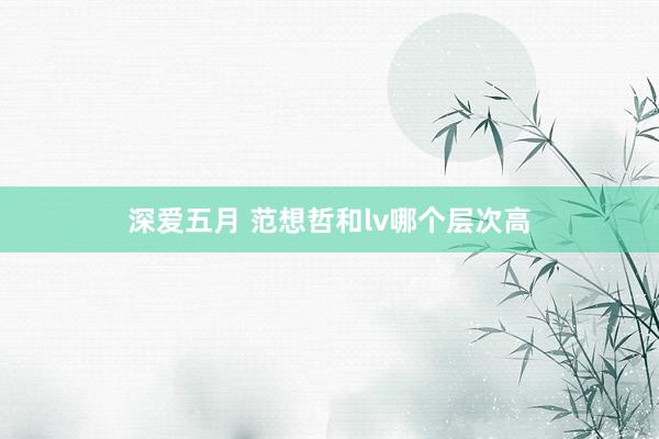 深爱五月 范想哲和lv哪个层次高