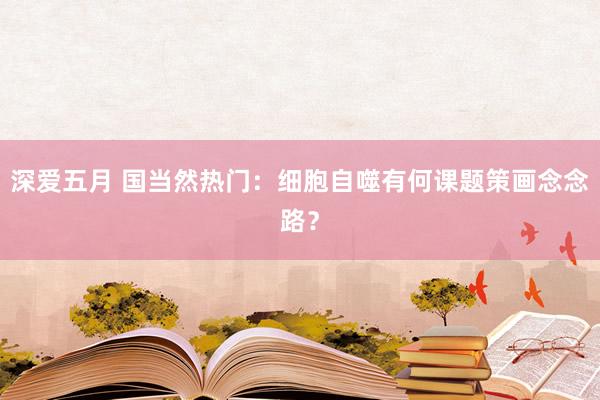 深爱五月 国当然热门：细胞自噬有何课题策画念念路？