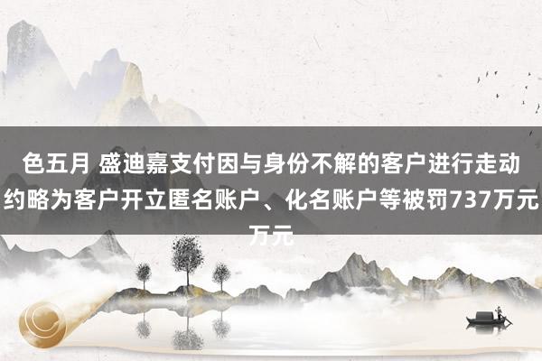 色五月 盛迪嘉支付因与身份不解的客户进行走动约略为客户开立匿名账户、化名账户等被罚737万元