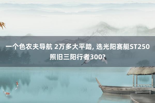 一个色农夫导航 2万多大平踏， 选光阳赛艇ST250照旧三阳行者300?