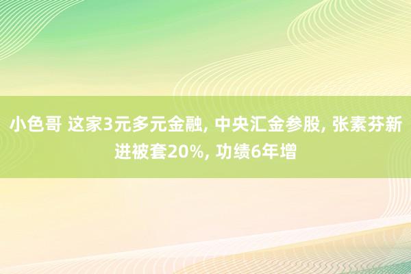小色哥 这家3元多元金融， 中央汇金参股， 张素芬新进被套20%， 功绩6年增
