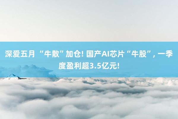 深爱五月 “牛散”加仓! 国产AI芯片“牛股”， 一季度盈利超3.5亿元!