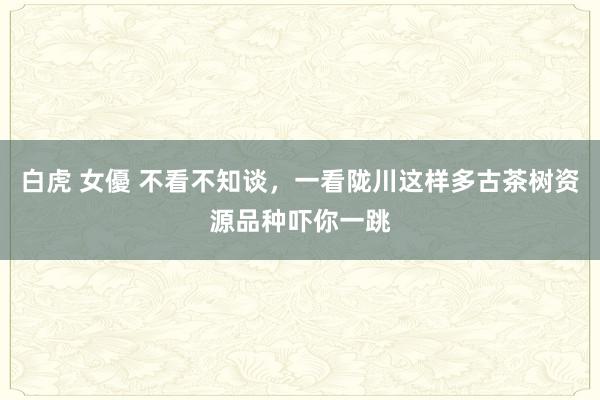 白虎 女優 不看不知谈，一看陇川这样多古茶树资源品种吓你一跳