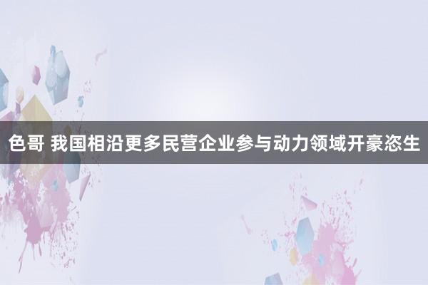 色哥 我国相沿更多民营企业参与动力领域开豪恣生